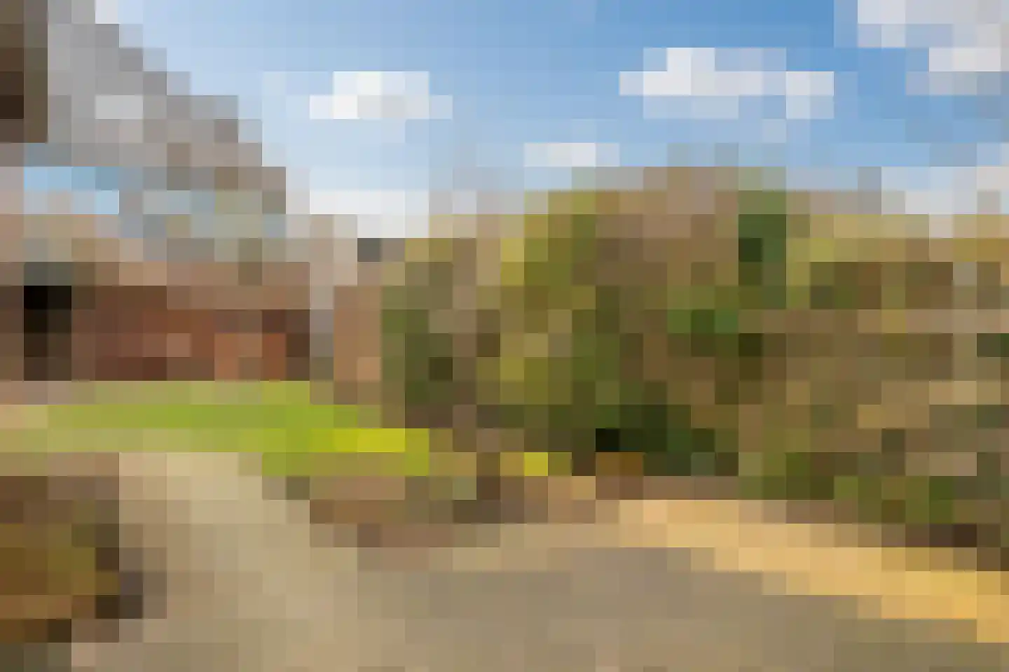 Waarschap 50 Zwaag thumbnail 22