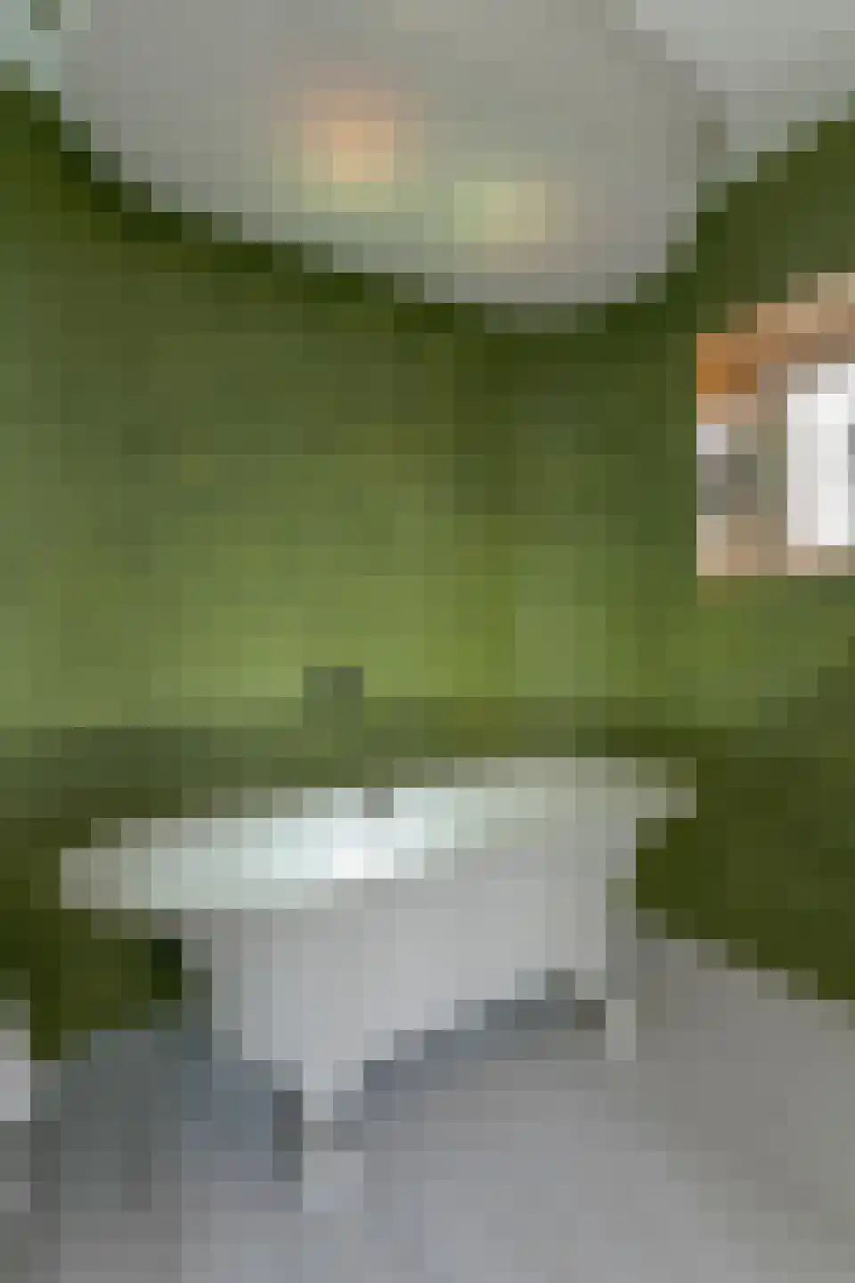 Waarschap 50 Zwaag thumbnail 39