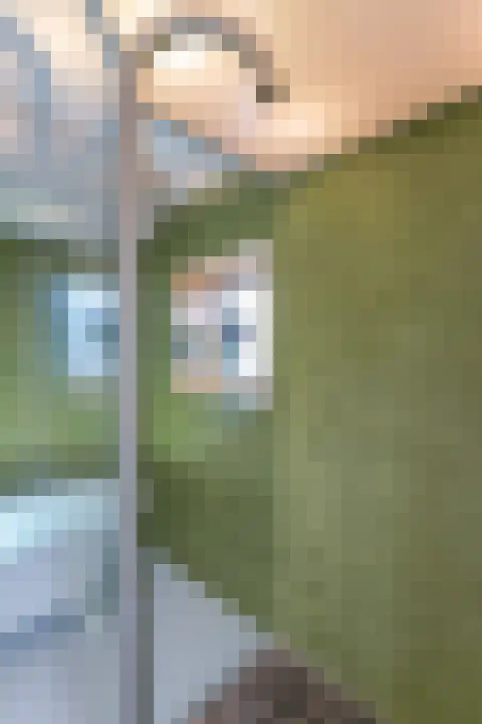 Waarschap 50 Zwaag thumbnail 40