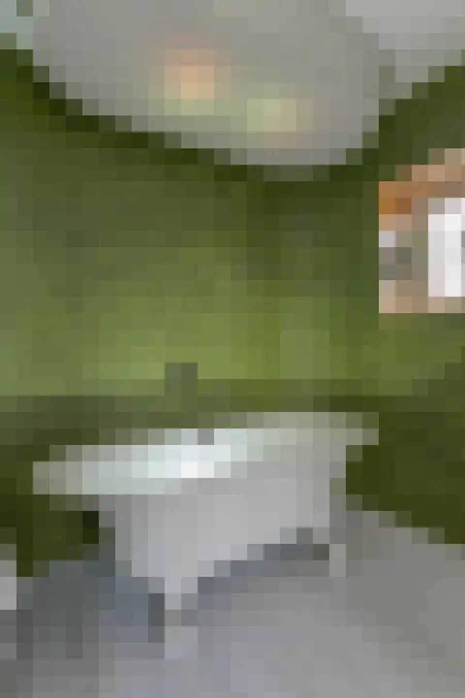 Waarschap 50 Zwaag thumbnail 40