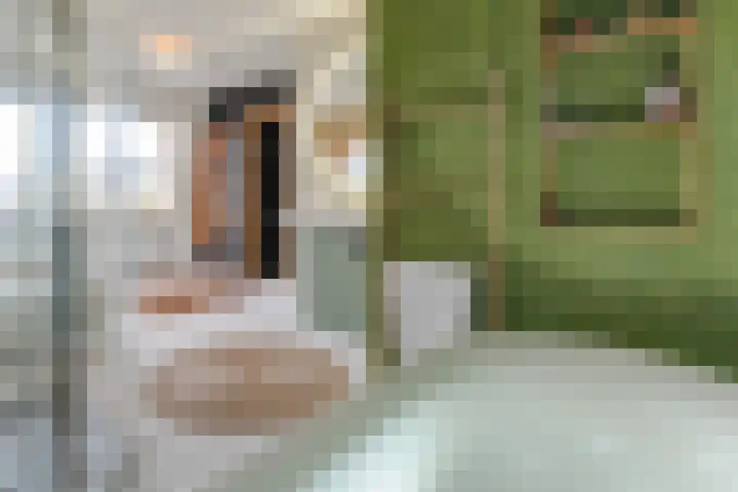 Waarschap 50 Zwaag thumbnail 42