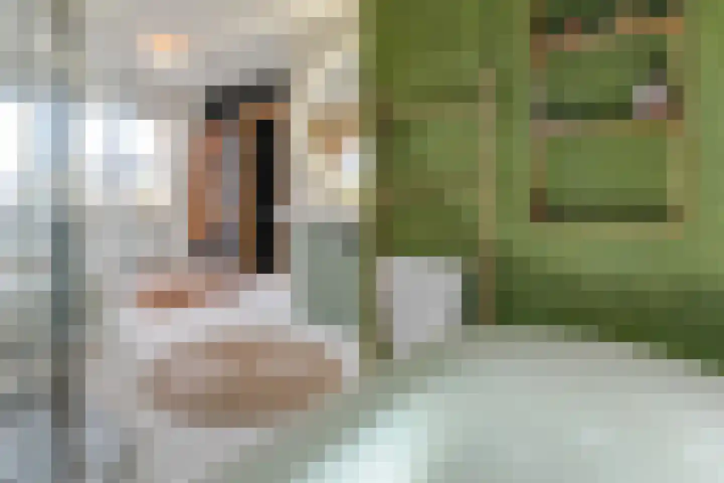 Waarschap 50 Zwaag thumbnail 43