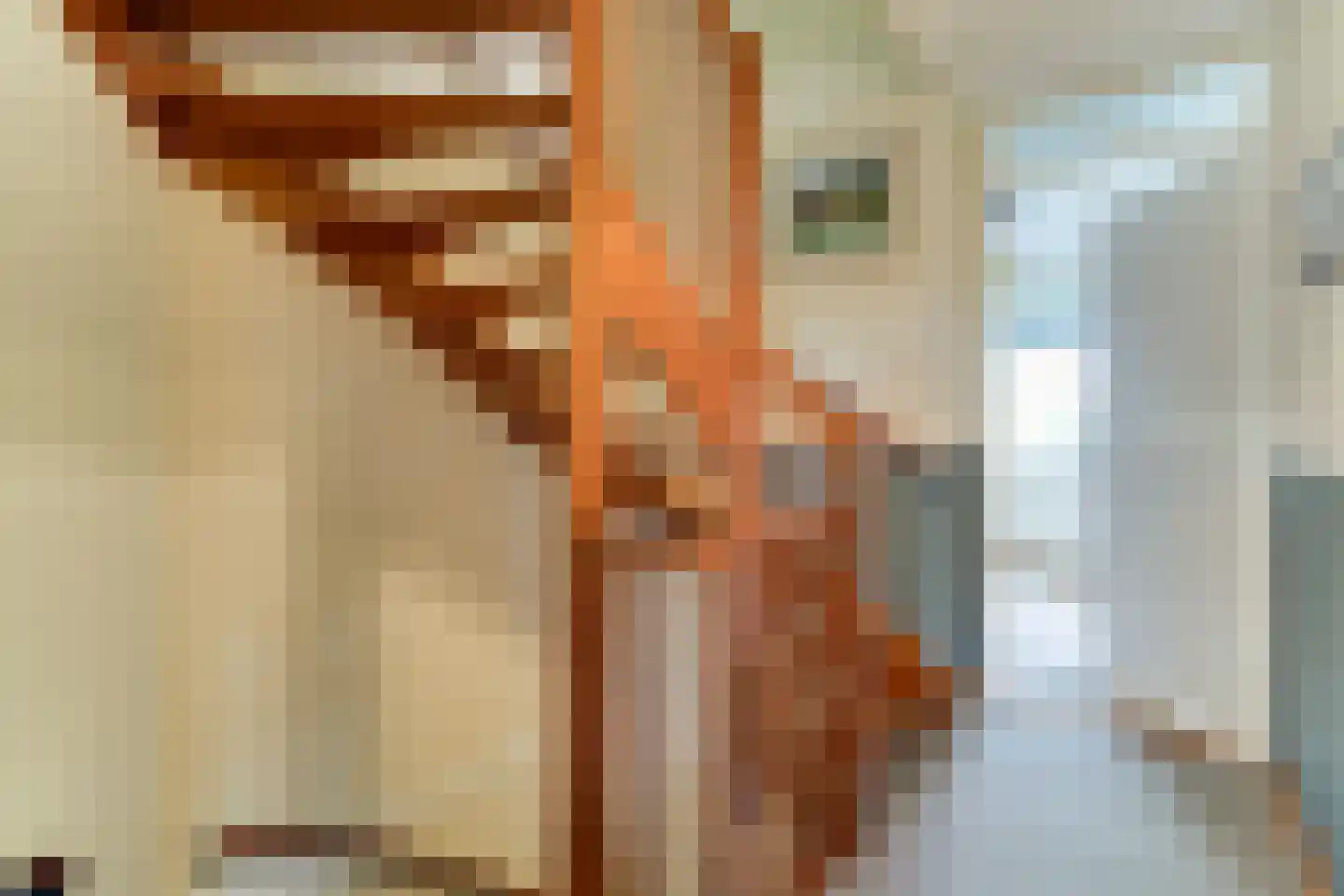 Waarschap 50 Zwaag thumbnail 46
