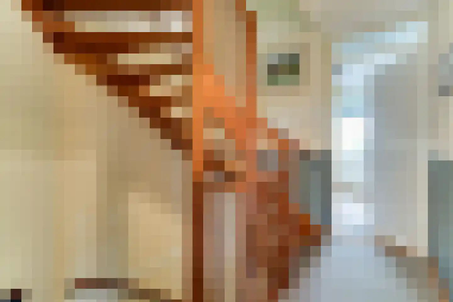 Waarschap 50 Zwaag thumbnail 47