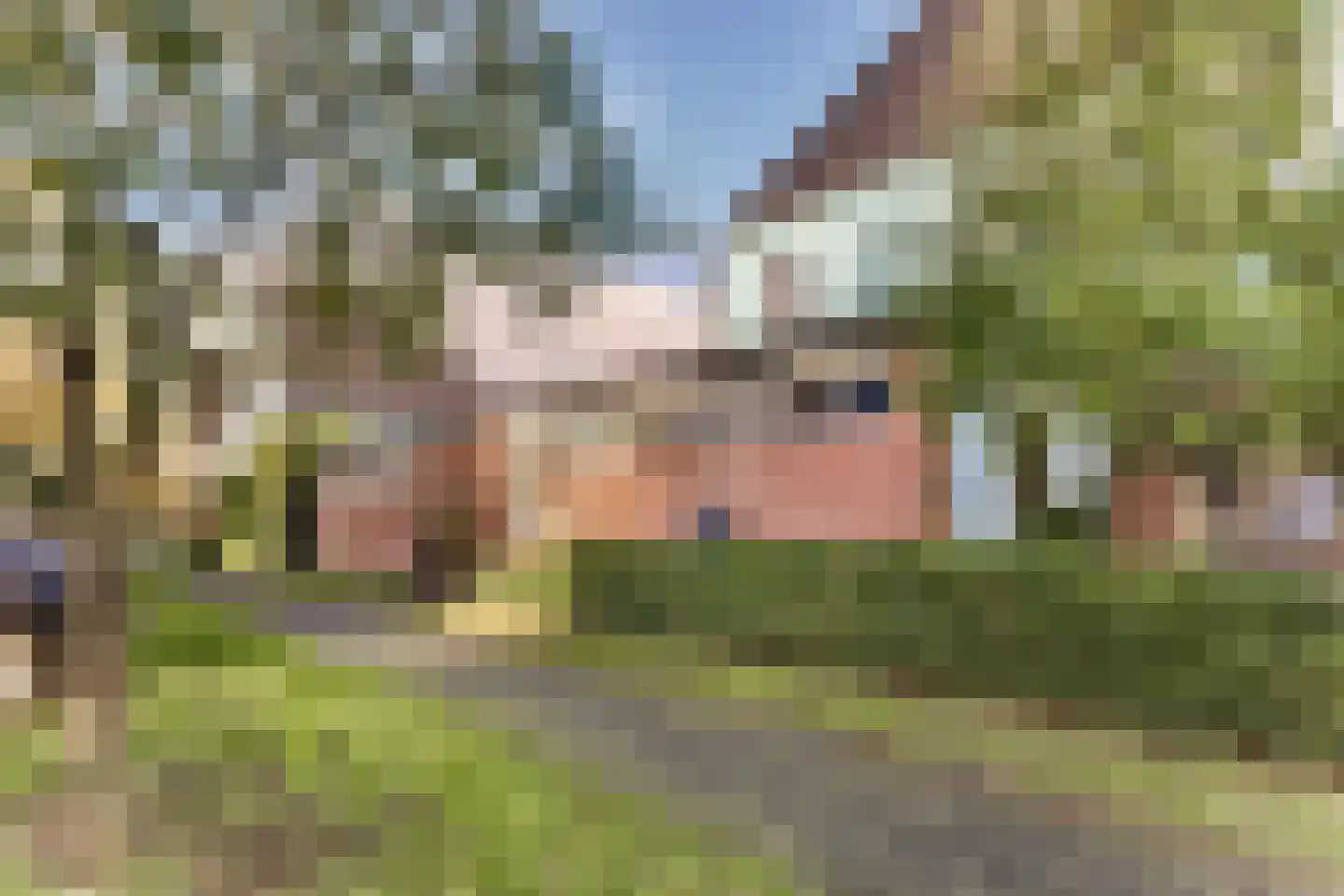 Waarschap 50 Zwaag thumbnail 5