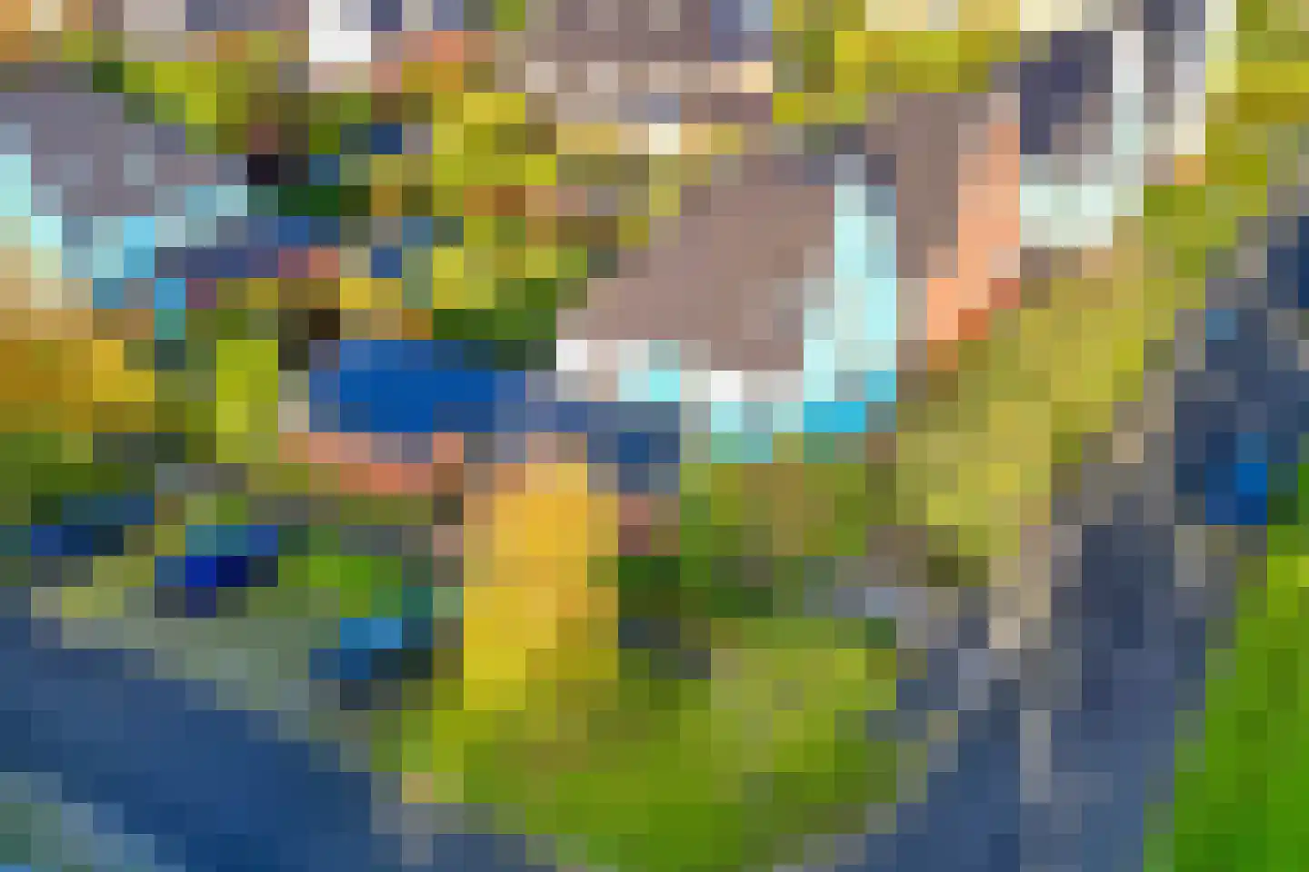 Waarschap 50 Zwaag thumbnail 52
