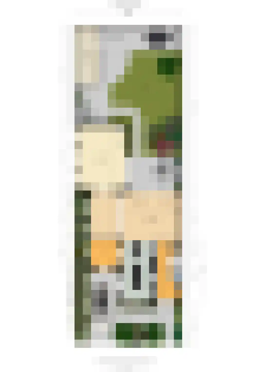 Waarschap 50 Zwaag thumbnail 53