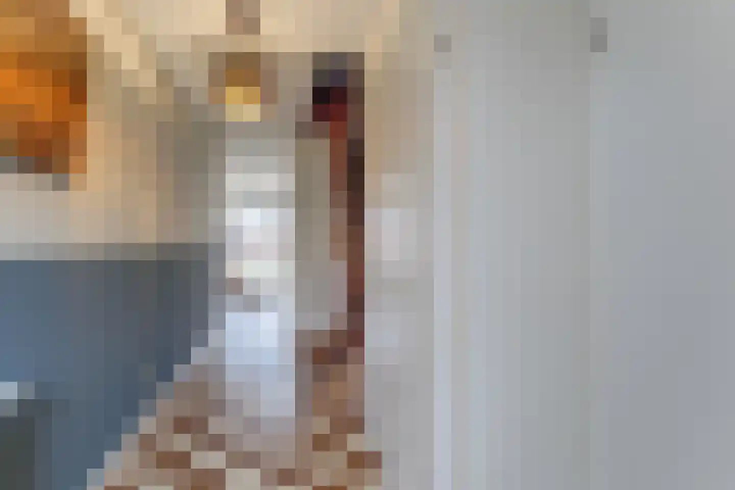 Waarschap 50 Zwaag thumbnail 8