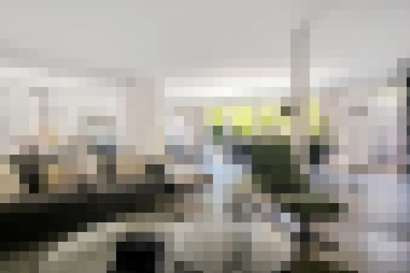 Waarschap 65 Zwaag thumbnail 13