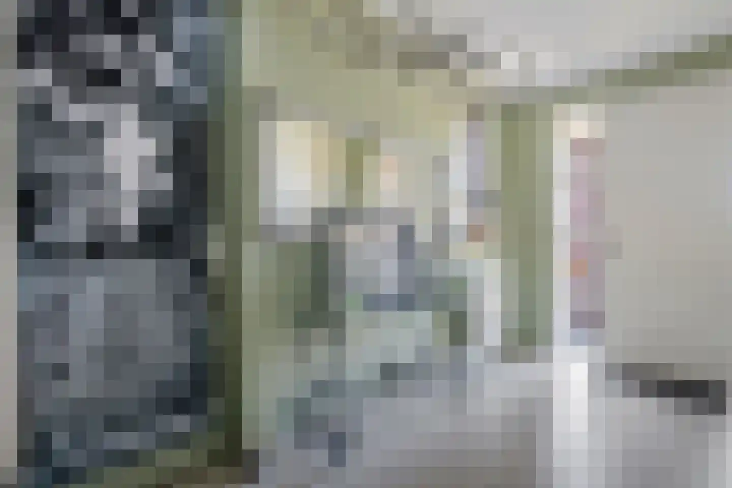 Waarschap 65 Zwaag thumbnail 16