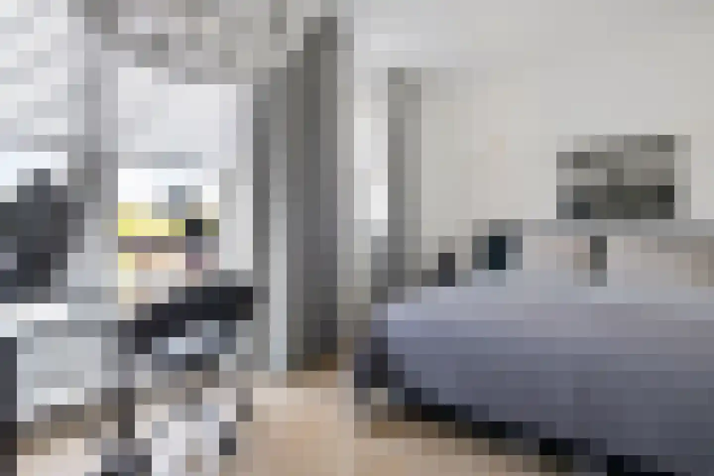 Waarschap 65 Zwaag thumbnail 18