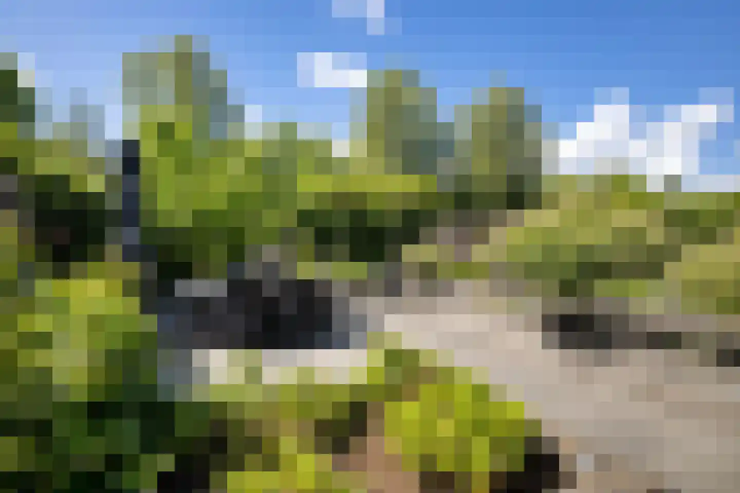 Waarschap 65 Zwaag thumbnail 32