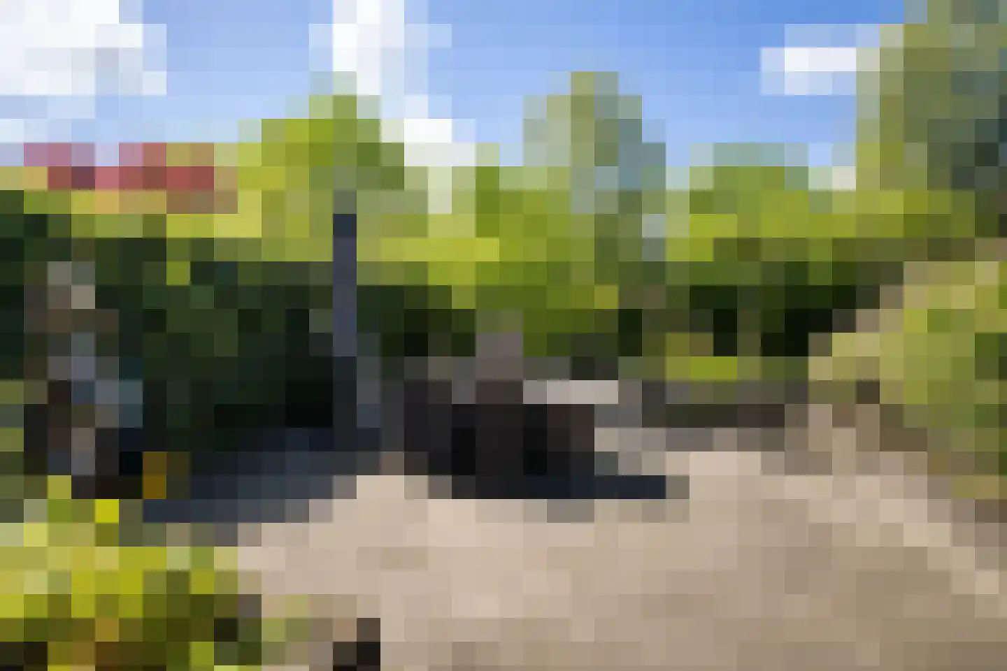 Waarschap 65 Zwaag thumbnail 33
