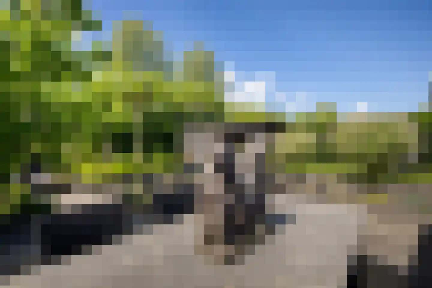 Waarschap 65 Zwaag thumbnail 34