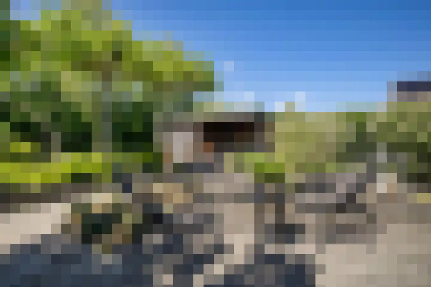 Waarschap 65 Zwaag thumbnail 35