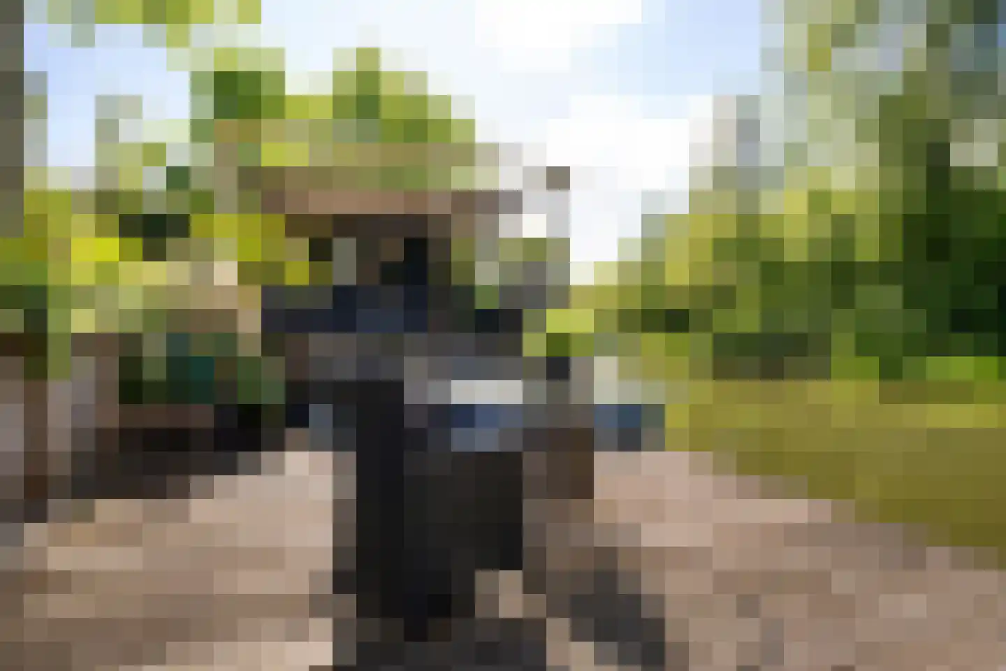 Waarschap 65 Zwaag thumbnail 38
