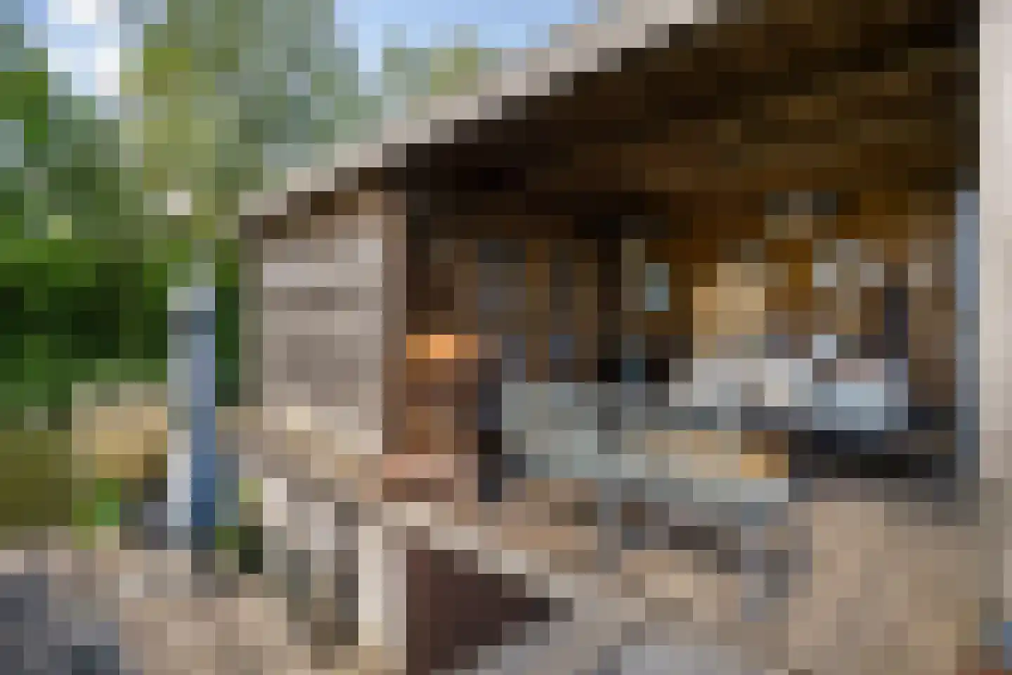 Waarschap 65 Zwaag thumbnail 40