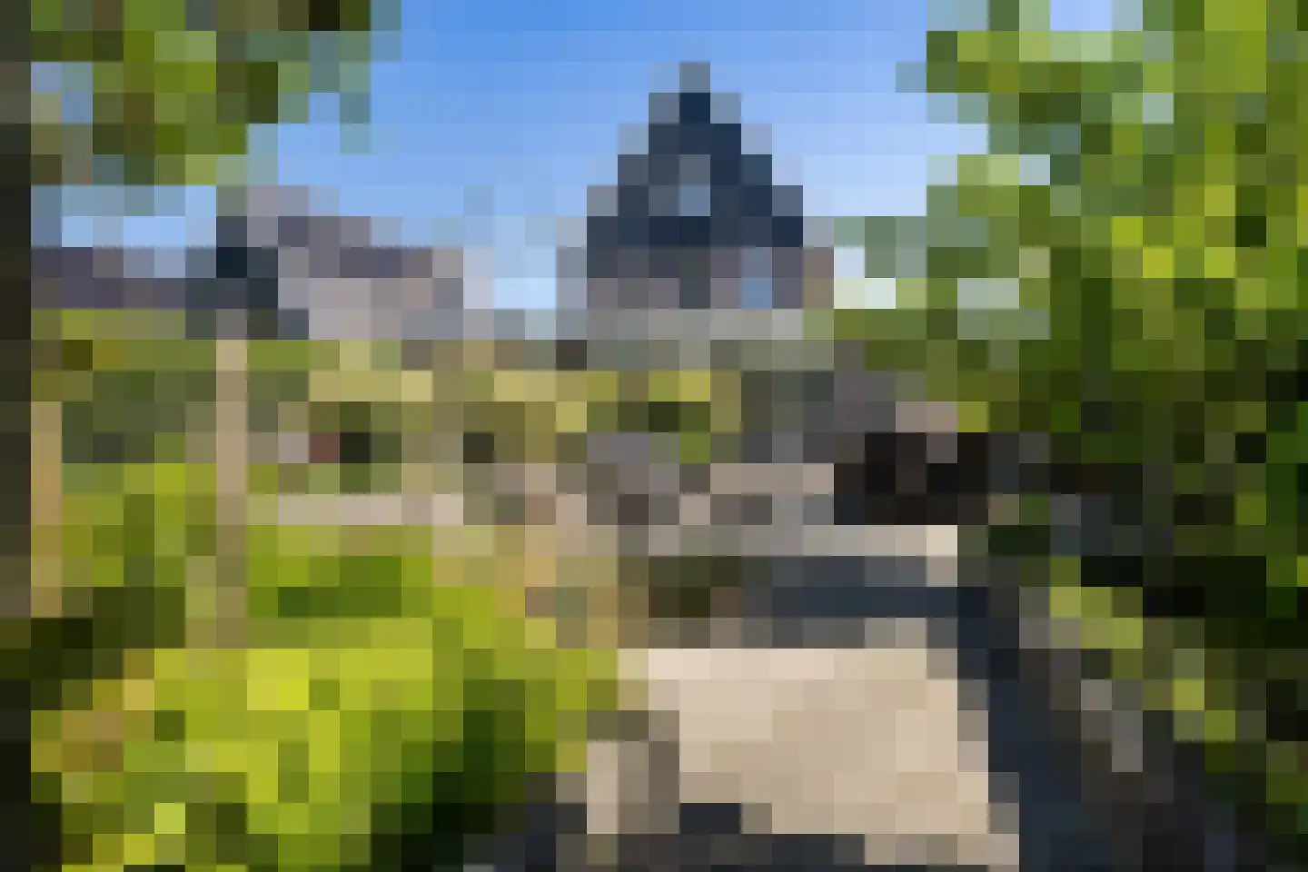 Waarschap 65 Zwaag thumbnail 45