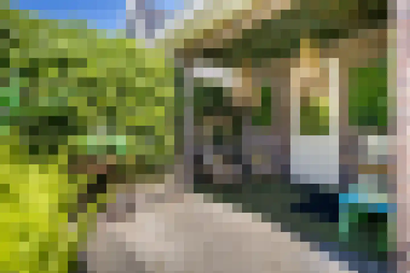 Waarschap 65 Zwaag thumbnail 49