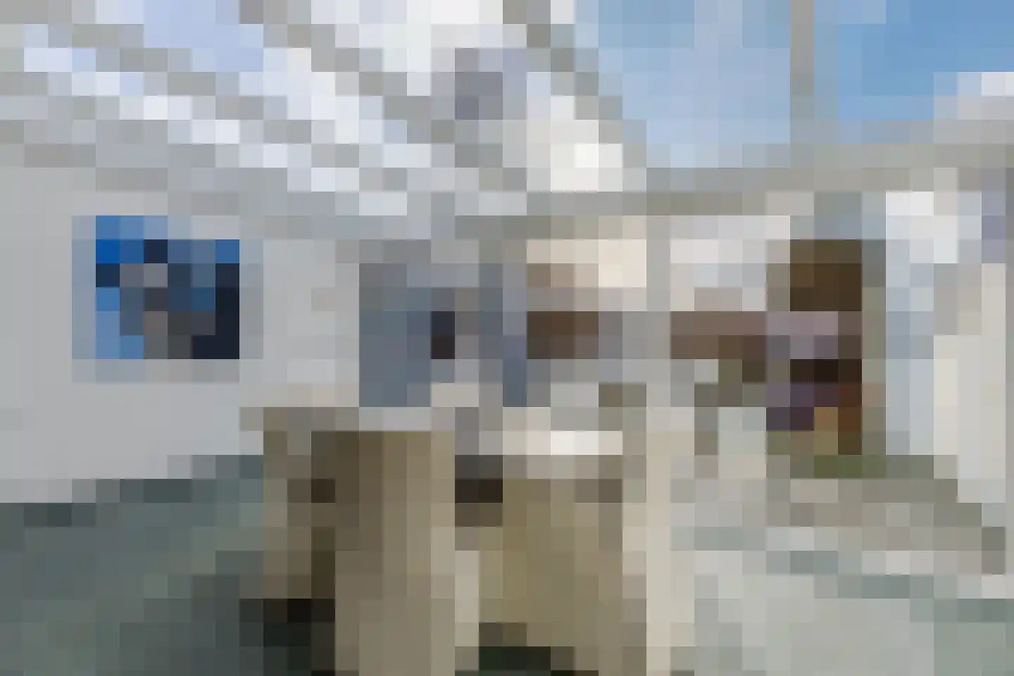 Waarschapsstraat 1 c Weesp thumbnail 15