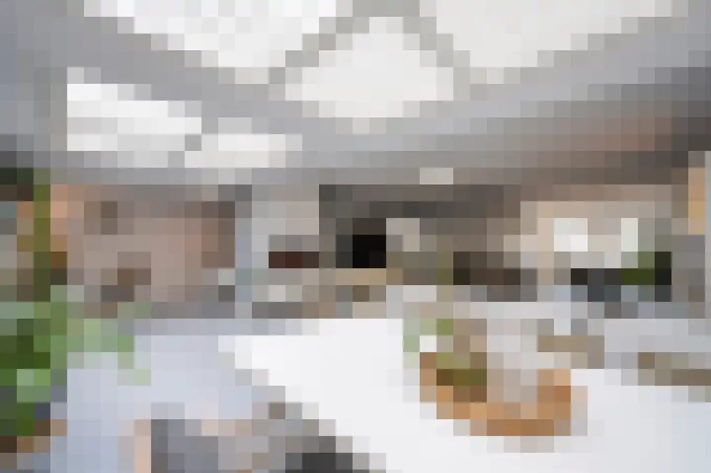 Waarschapsstraat 150 Weesp thumbnail 12