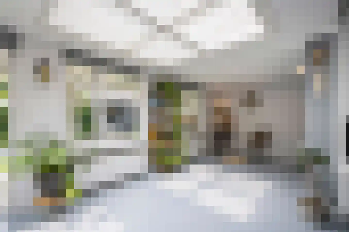 Waarschapsstraat 150 Weesp thumbnail 13
