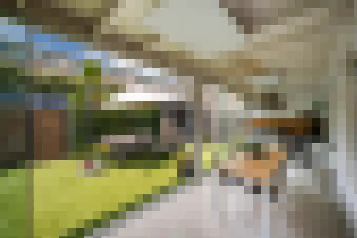 Waarschapsstraat 150 Weesp thumbnail 16