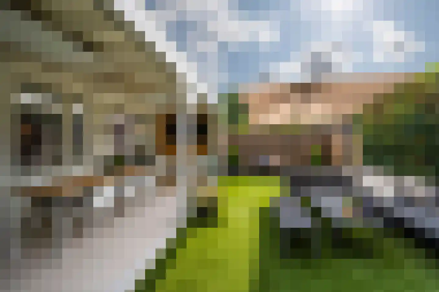 Waarschapsstraat 150 Weesp thumbnail 17