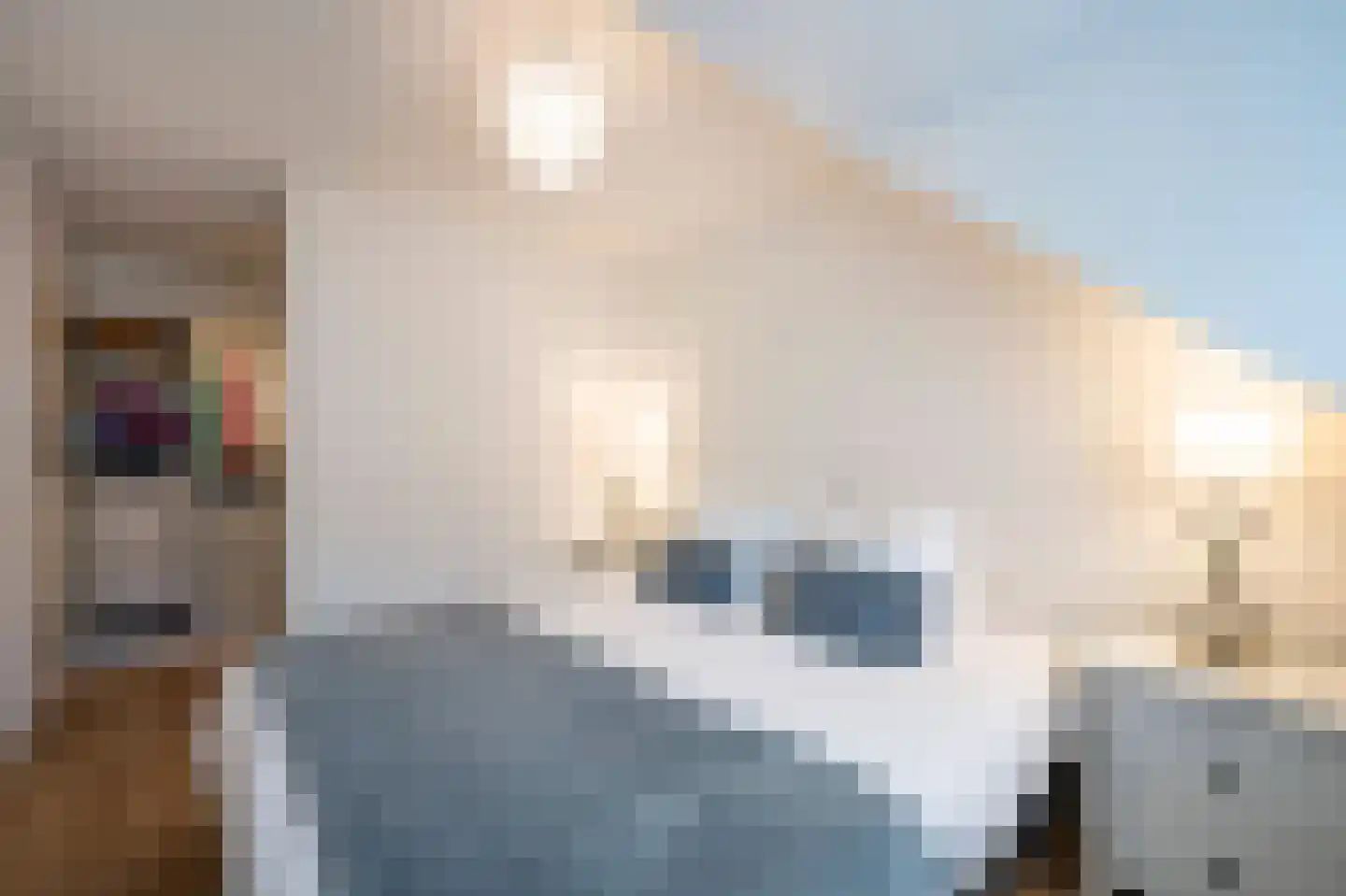 Waarschapsstraat 150 Weesp thumbnail 27