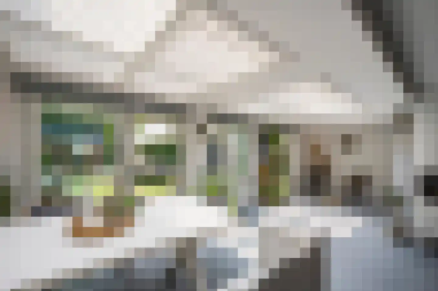 Waarschapsstraat 150 Weesp thumbnail 4