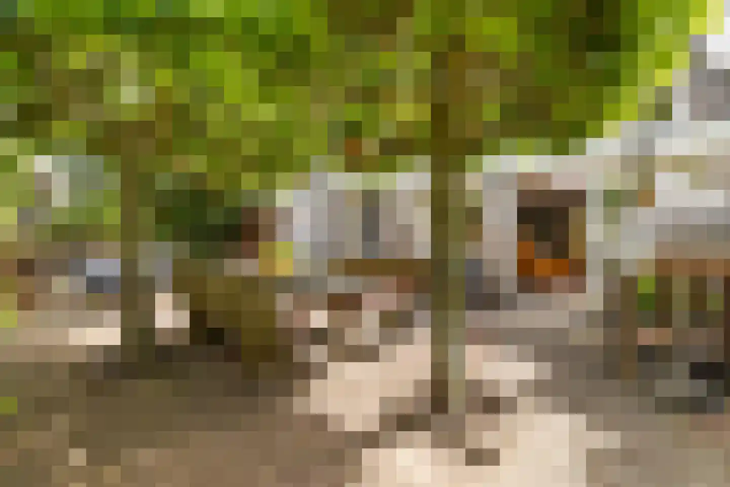 Waarschapsstraat 158 Weesp thumbnail 17