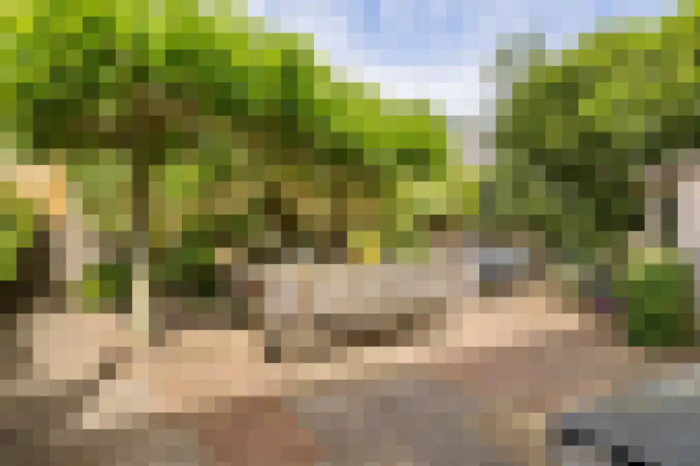 Waarschapsstraat 158 Weesp thumbnail 18
