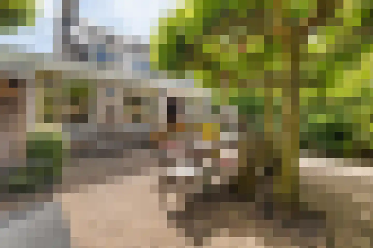 Waarschapsstraat 158 Weesp thumbnail 20