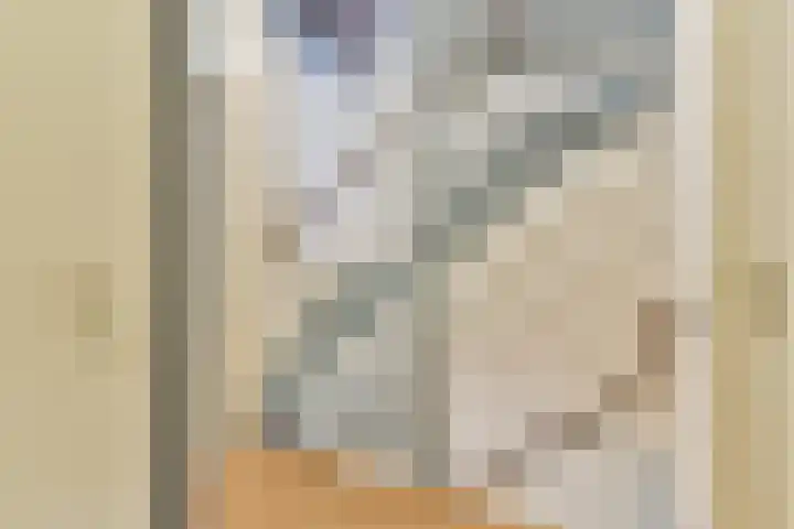 Waarsmanslag 15 Gouda thumbnail 25