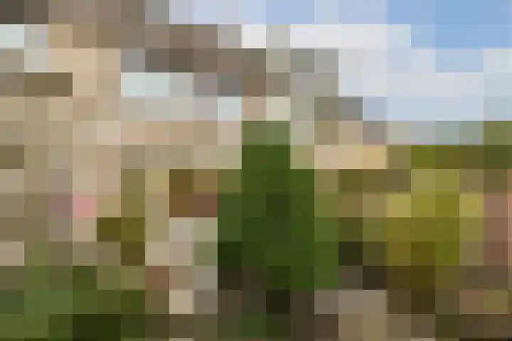 Waarsmanslag 15 Gouda thumbnail 28