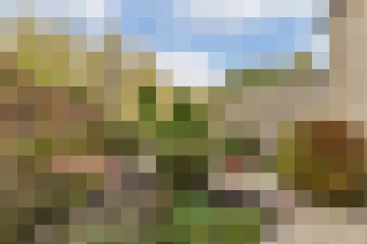 Waarsmanslag 15 Gouda thumbnail 29