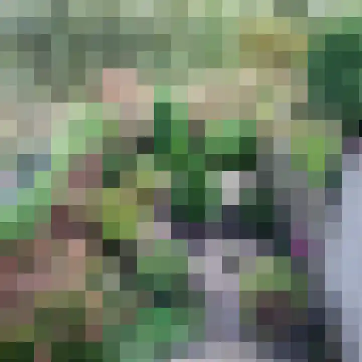 Waarsmanslag 15 Gouda thumbnail 30