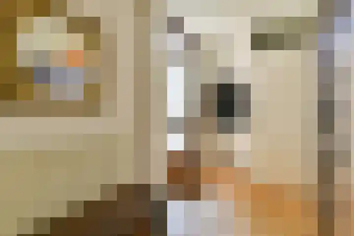 Waarsmanslag 15 Gouda thumbnail 8