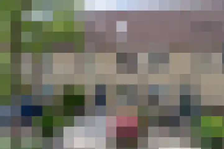 Waarsmanslag 26 Gouda thumbnail 33