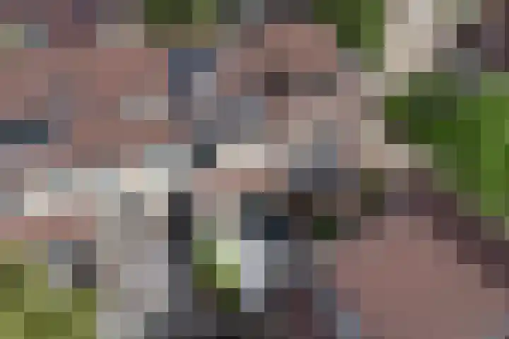 Waarsmanslag 26 Gouda thumbnail 36