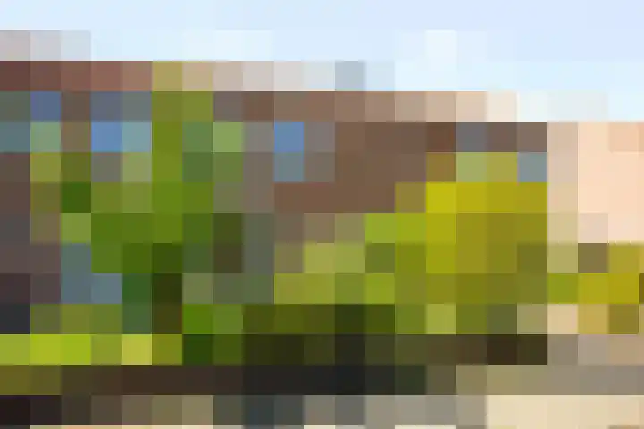 Waarwijckstraat 13 Amersfoort thumbnail 33