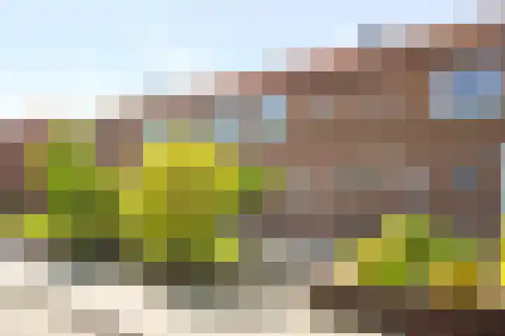 Waarwijckstraat 13 Amersfoort thumbnail 6