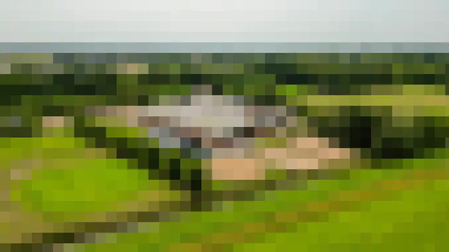 Waatselaarstraat 3 in Berghem