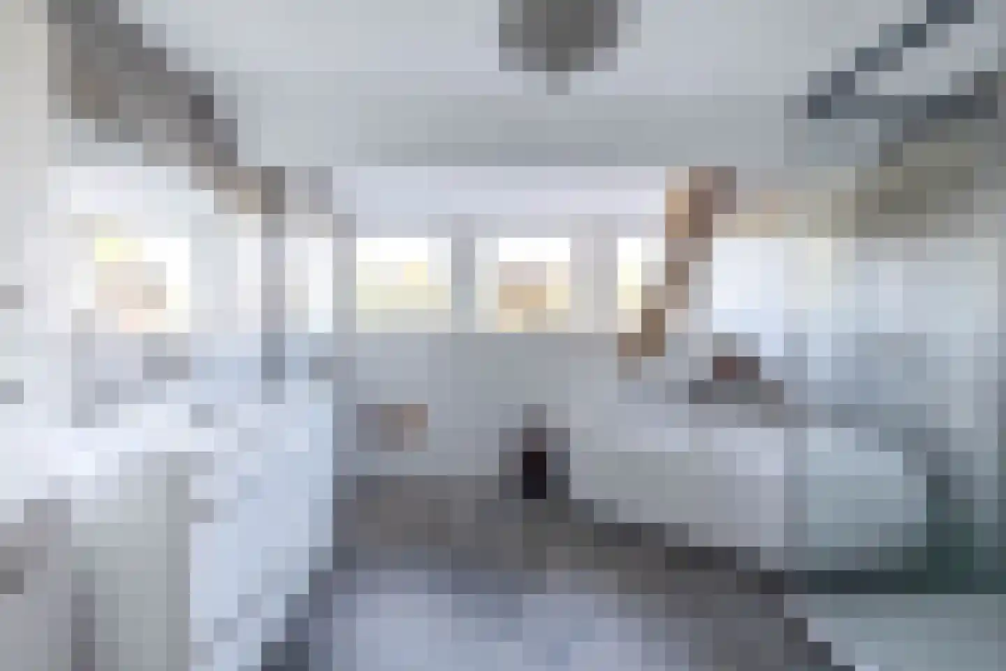 Waatselaarstraat 3 Berghem thumbnail 19