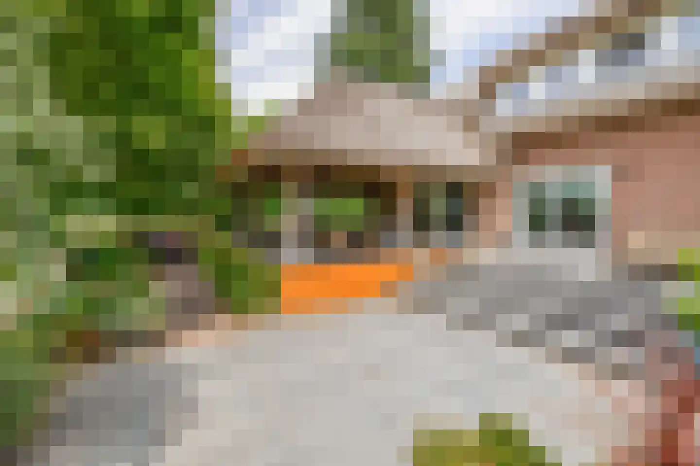 Waatselaarstraat 3 Berghem thumbnail 21