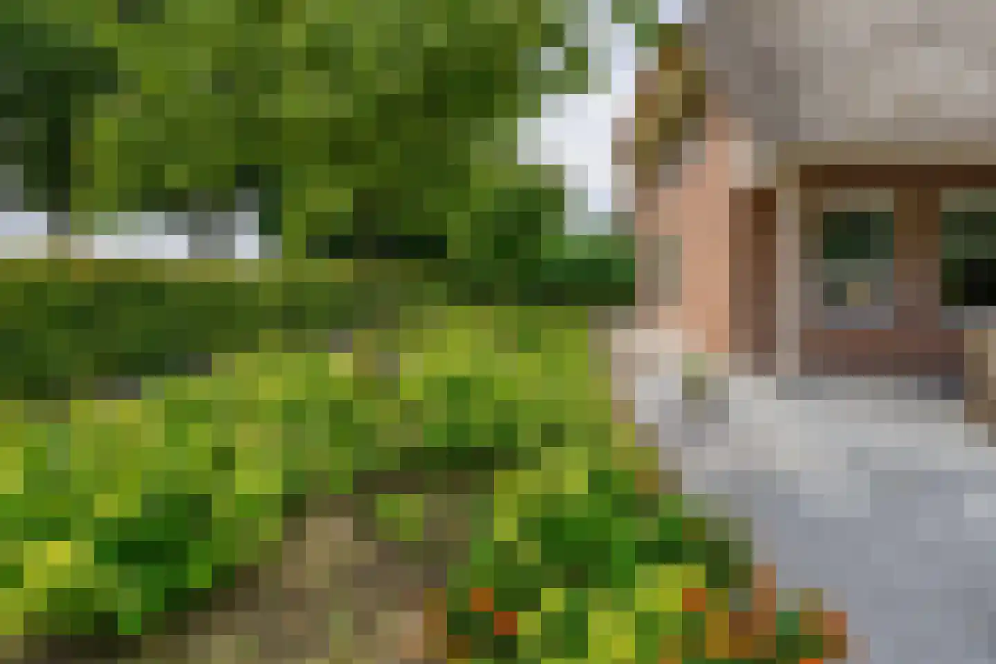 Waatselaarstraat 3 Berghem thumbnail 22