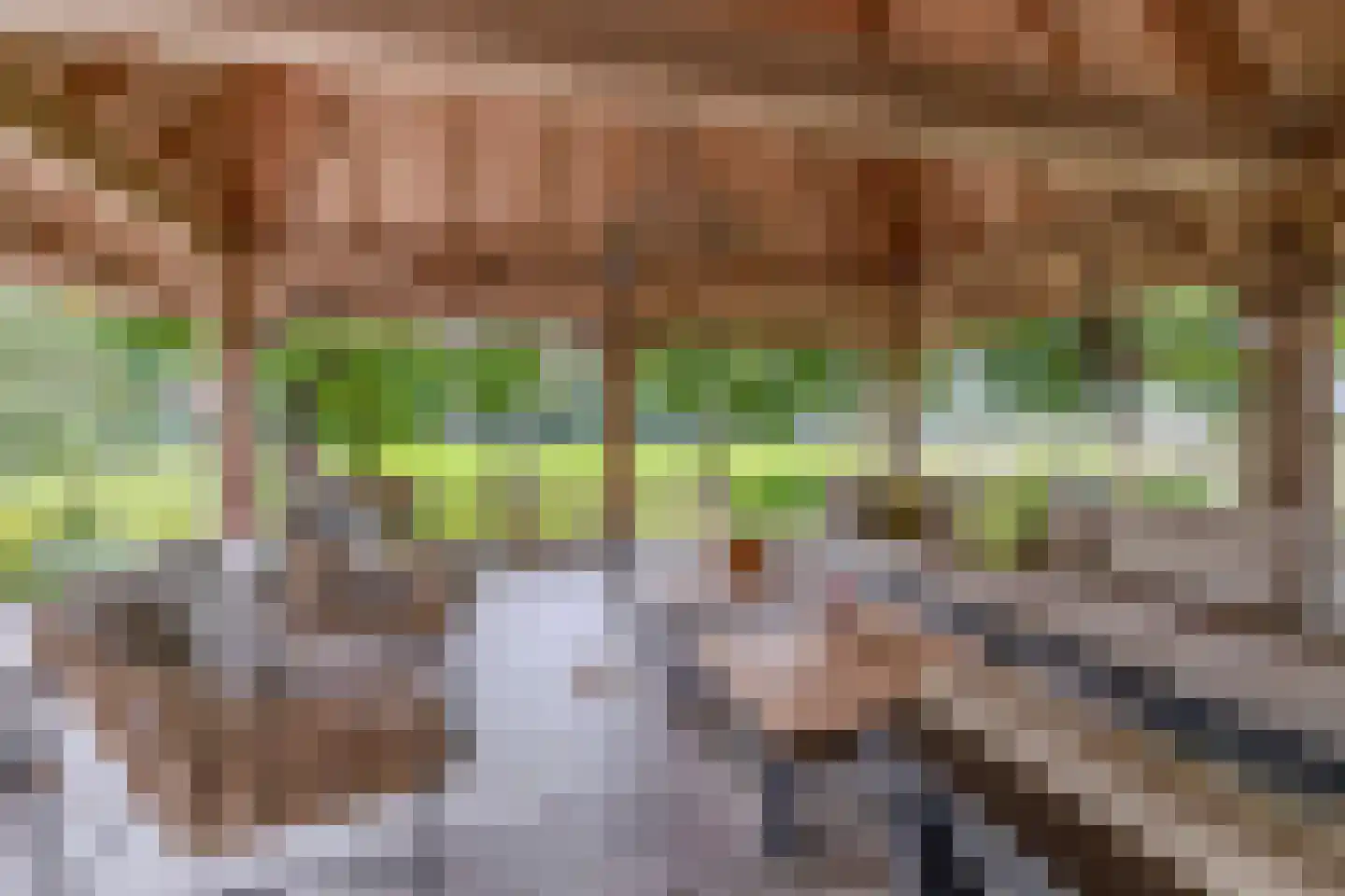 Waatselaarstraat 3 Berghem thumbnail 23