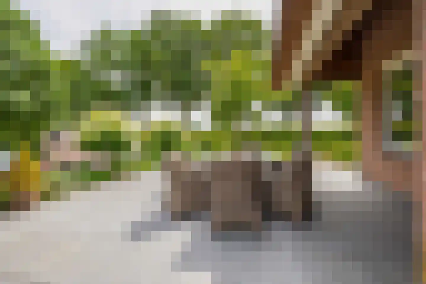 Waatselaarstraat 3 Berghem thumbnail 25