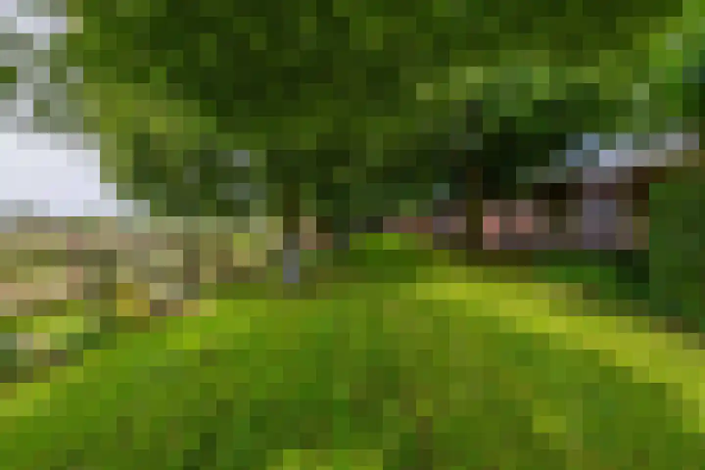 Waatselaarstraat 3 Berghem thumbnail 29