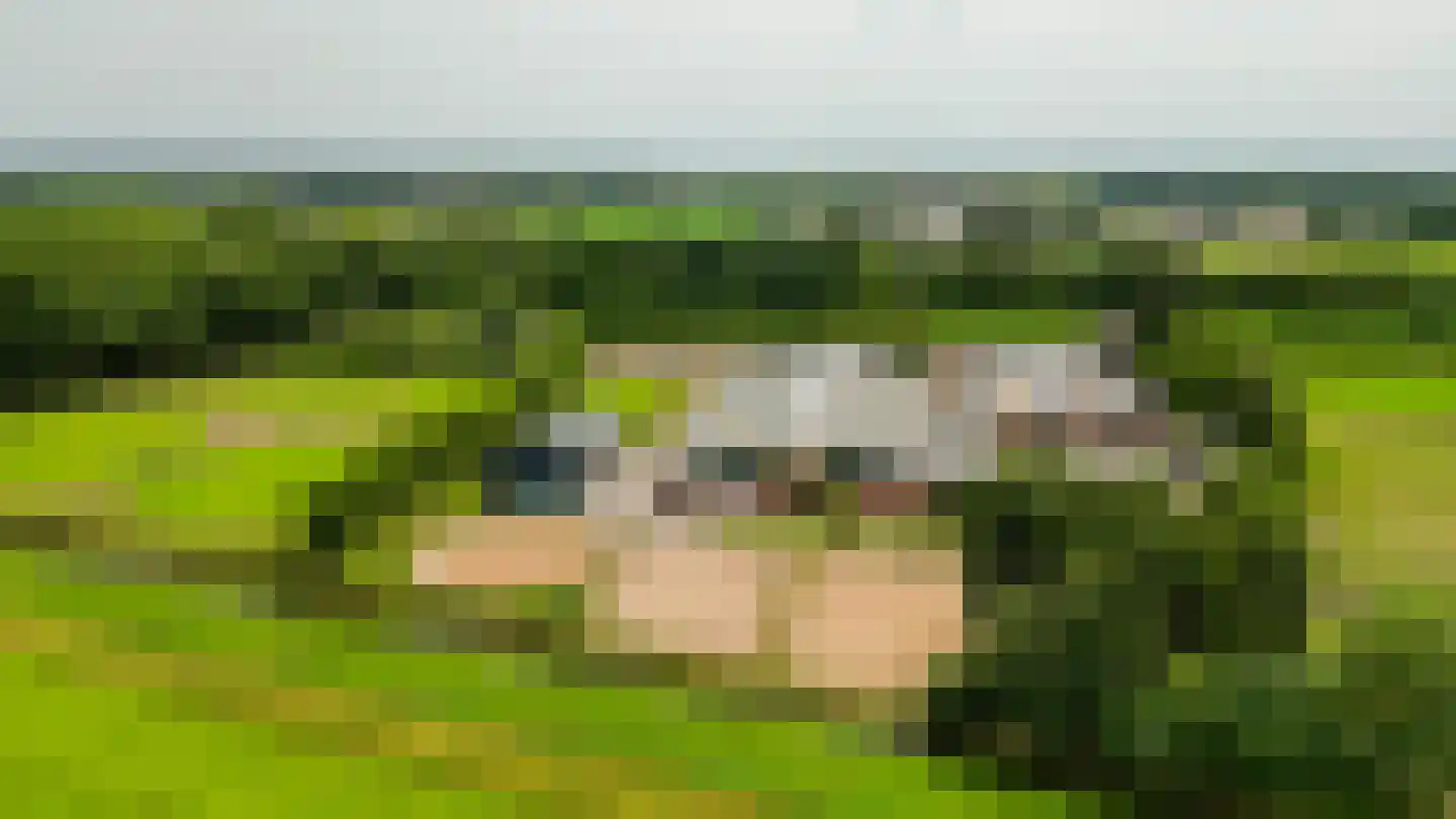 Waatselaarstraat 3 Berghem thumbnail 30